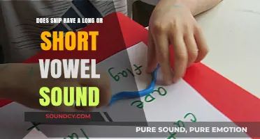 Does 'Snip' Have a Long or Short Vowel Sound? Exploring Phonetics