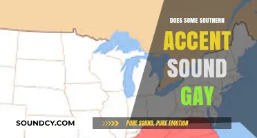 Southern Accents: Gay or Not?