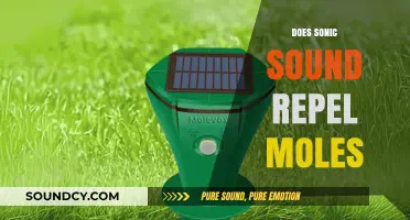 Can Sonic Repellents Effectively Deter Moles from Your Garden?