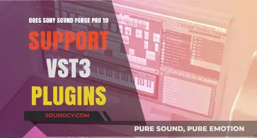 Does Sony Sound Forge Pro 10 Support VST3 Plugins?
