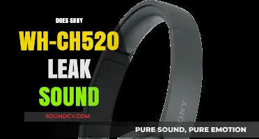 Sony WH-CH520: Sound Leaks?
