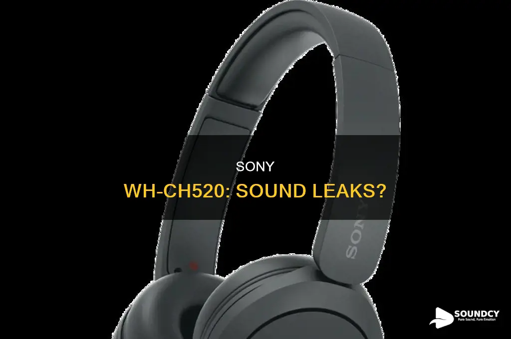 does sony wh-ch520 leak sound