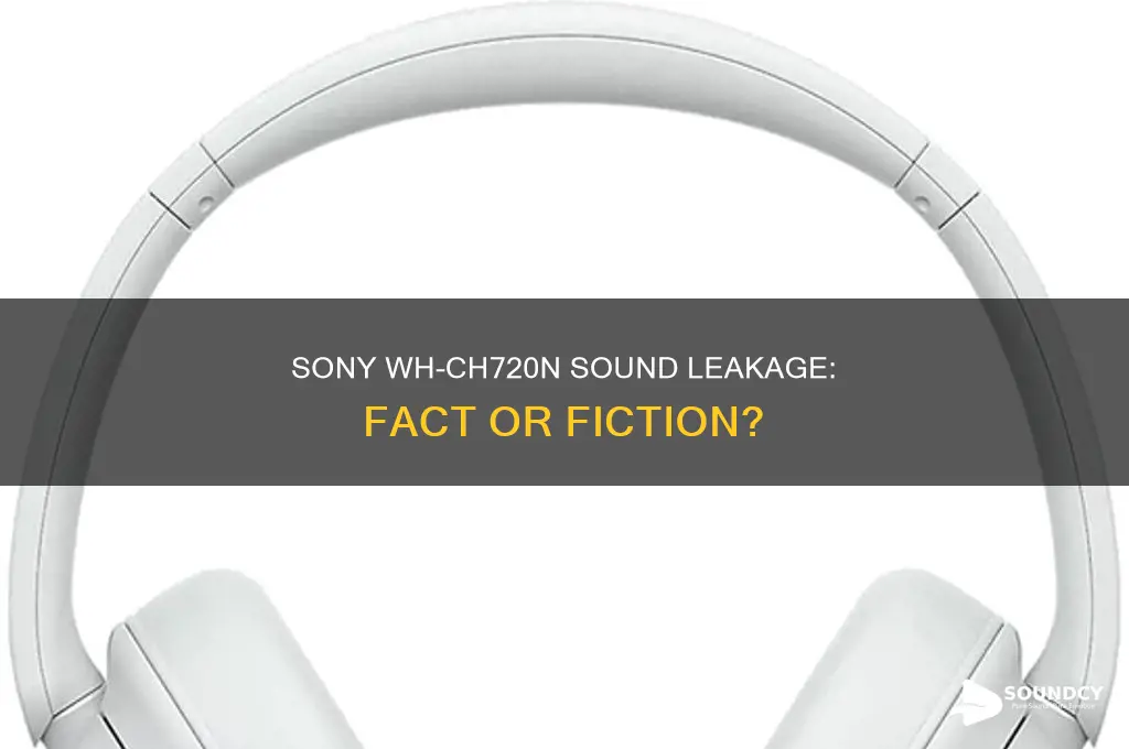 does sony whch720n leak sound