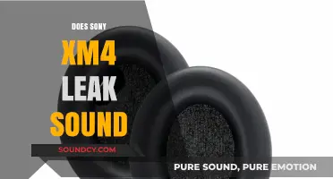 Sony WH-1000XM4 Sound Leakage: Fact or Fiction?