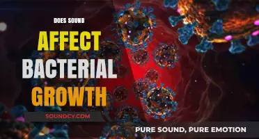 Sound's Surprising Impact: How Noise Influences Bacterial Growth Patterns