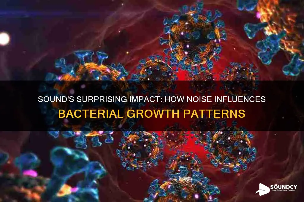 does sound affect bacterial growth