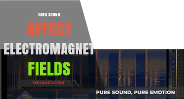 Exploring the Intriguing Link Between Sound and Electromagnetic Fields