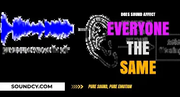 How Sound Affects Us: A Universal Experience?