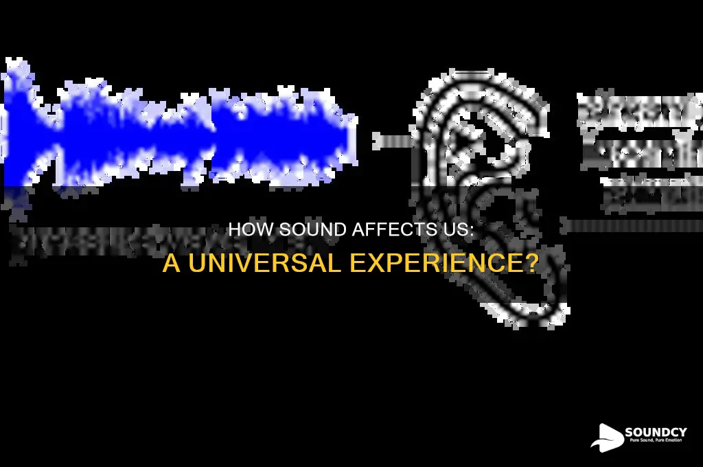 does sound affect everyone the same