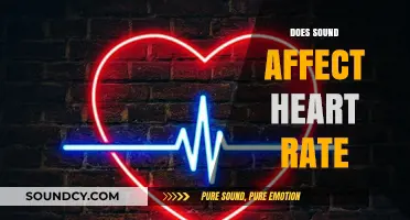 How Sound Influences Heart Rate: Exploring the Surprising Connection