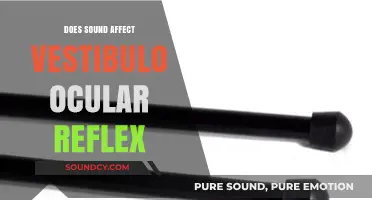 How Sound Influences Our Visual Stability