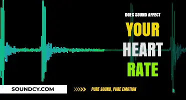 How Sound Influences Your Heart Rate