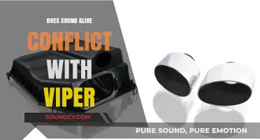Sound Alive and Viper: A Compatible Match?