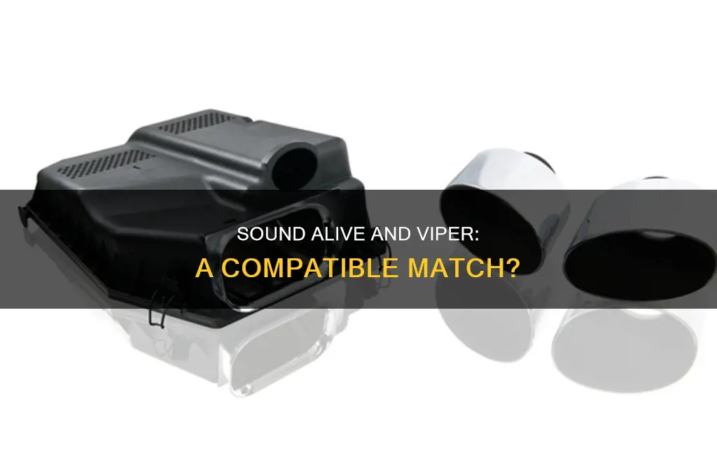 does sound alive conflict with viper