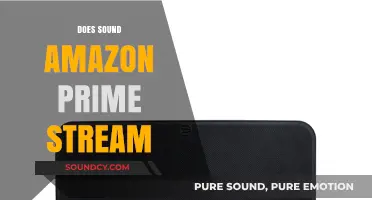 Does Amazon Prime Stream Sound Effectively? A Comprehensive Analysis