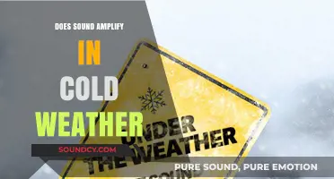 Sound and Cold: Does Winter Make Noise Louder?
