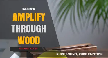 Does Sound Amplify Through Wood? Exploring Acoustic Properties and Resonance