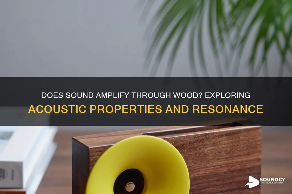 does sound amplify through wood