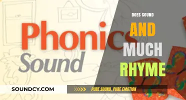 Does Sound and Much Rhyme? Exploring the Intricacies of Language and Phonetics