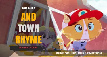 Does Sound and Town Rhyme? Exploring Homophones in Everyday Language