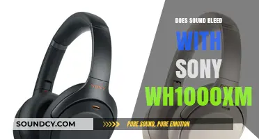 Sony WH1000XM3: Sound Leakage Review