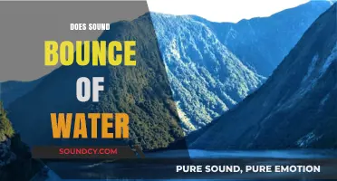Does Sound Bounce Off Water? Exploring Aquatic Acoustics and Reflection