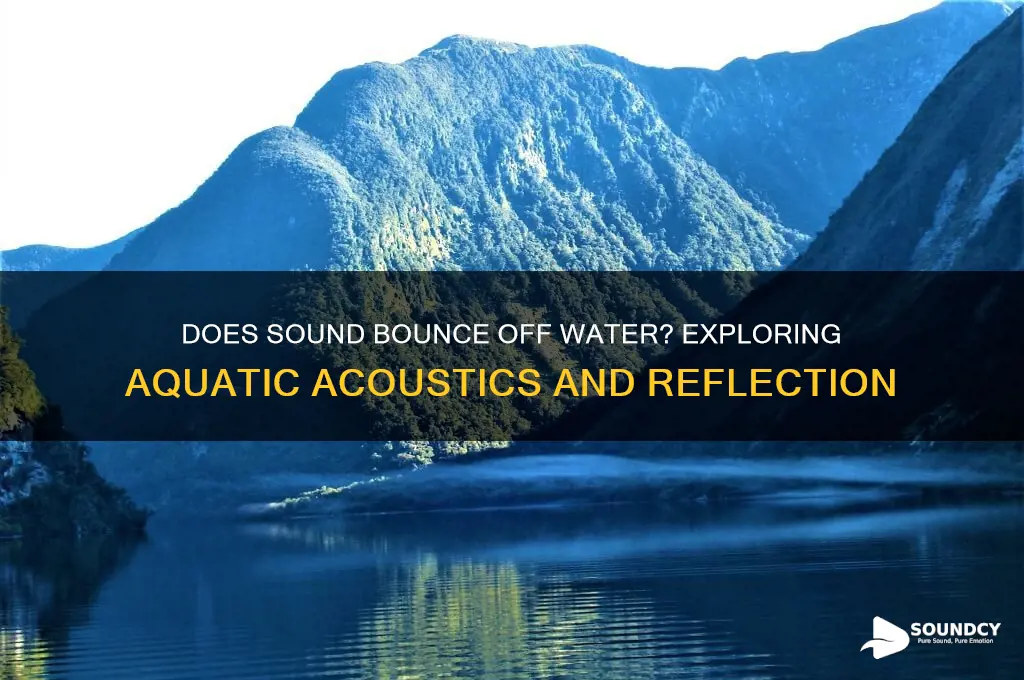 does sound bounce of water