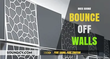 Does Sound Bounce Off Walls? Exploring Acoustic Reflections and Echoes