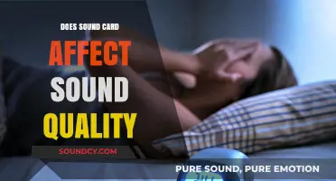 Sound Cards: Do They Impact Audio Quality?