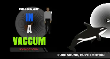 Sound in a Vacuum: Does It Travel?