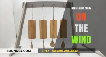 How Wind Carries Sound: The Science
