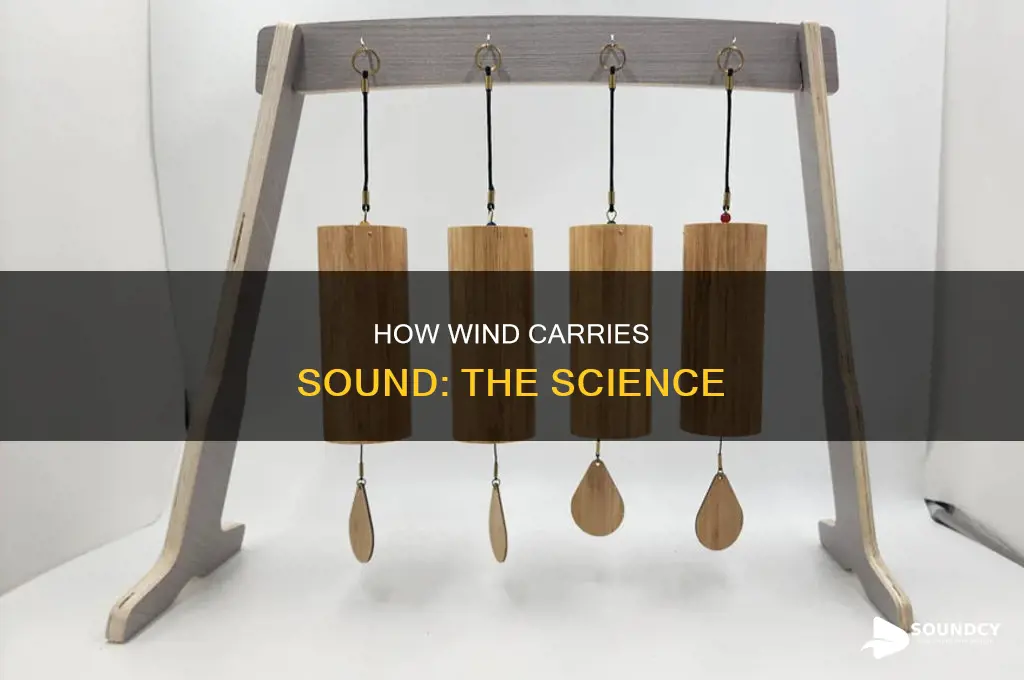 does sound carry on the wind
