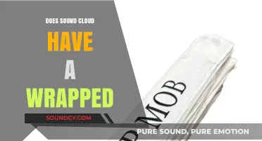 SoundCloud Wrapped: A Year in Review