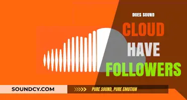 Does SoundCloud Have Followers? Understanding the Platform's User Engagement