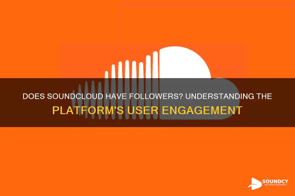 does sound cloud have followers