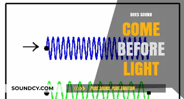 Sound vs. Light: Which Phenomenon Reaches Us First in Nature?