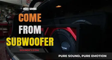 Understanding Subwoofers: Do They Produce Sound or Enhance Bass?