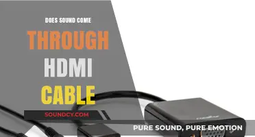 HDMI Cables: Audio and Visual Powerhouses