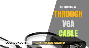 VGA Cables: Do They Carry Audio Signals?
