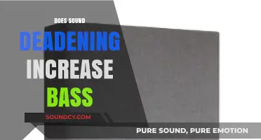 Enhance Your Audio: Does Sound Deadening Really Boost Bass Performance?