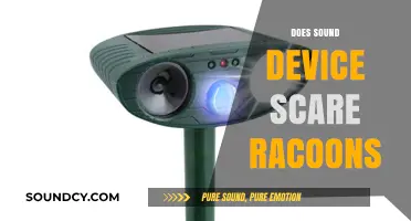 Can Sound Devices Effectively Deter Raccoons? Exploring the Facts and Myths