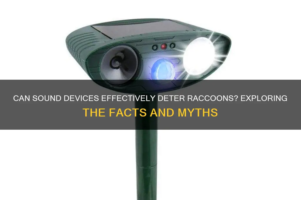 does sound device scare racoons