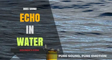 Does Sound Echo in Water? Exploring Aquatic Acoustics and Reflection