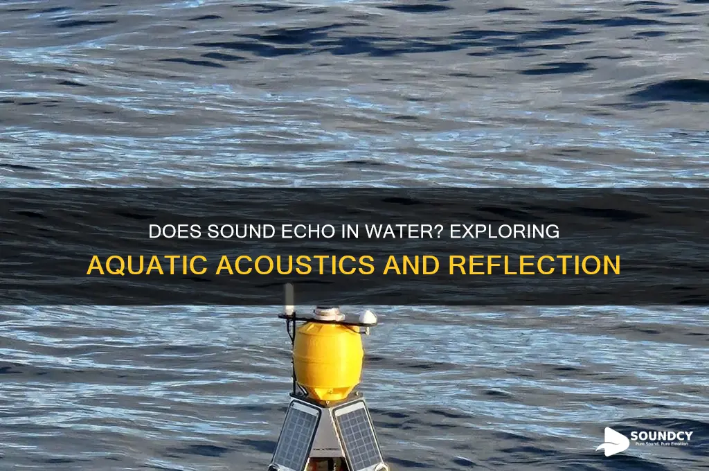does sound echo in water