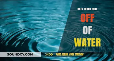 Sound Reflections: Water and Echoes