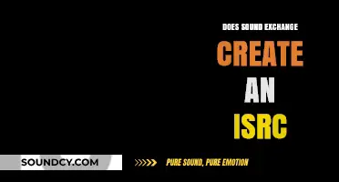 How SoundExchange Helps with ISRC Creation