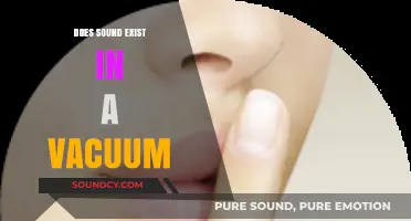 Sound in a Vacuum: Why Silence is Golden