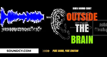 The Brain's Sound: Does It Exist?