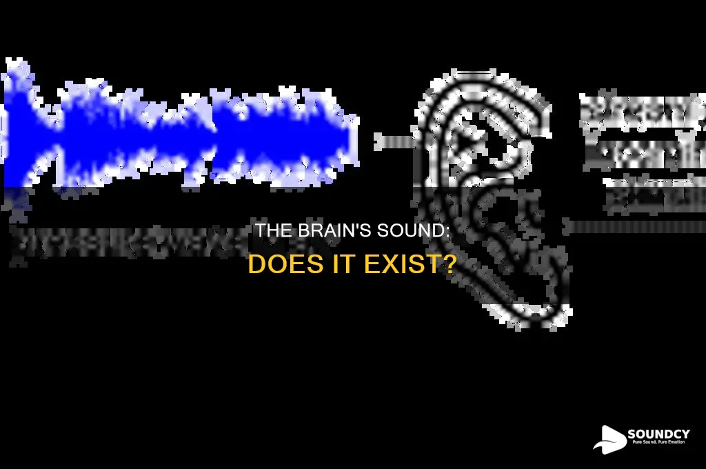 does sound exist outside the brain