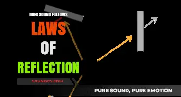Sound Laws: Reflection and Rules